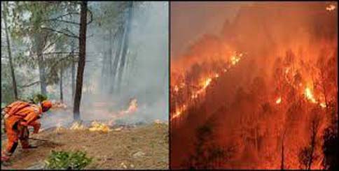 Uttarakhand Forest Fire