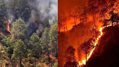 Nainital Forest Fire