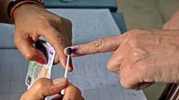 UP Lok Sabha Election Voting